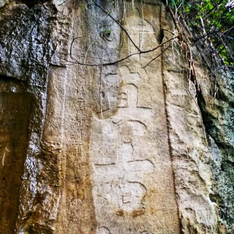 桂林市的樱花园在哪里