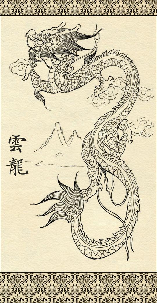 「美术素材」一组龙的白描图