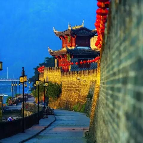 凤凰树为什么是厦门市树