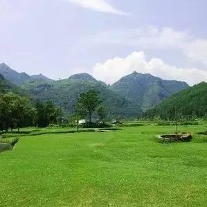 温州市泰石草坪的长尾关键词有什么