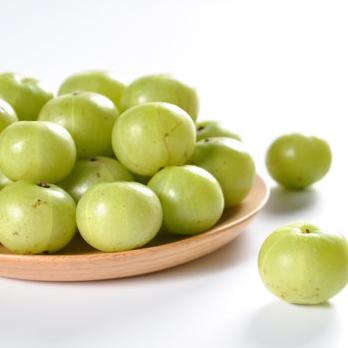 江西生长沙棘相关长尾关键词有哪些