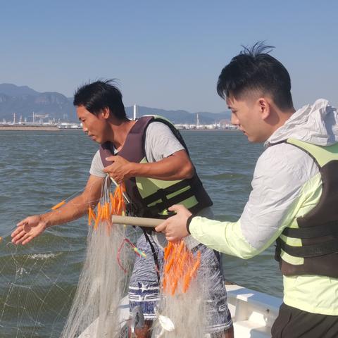 东莞市哪里能赶海捡海鲜