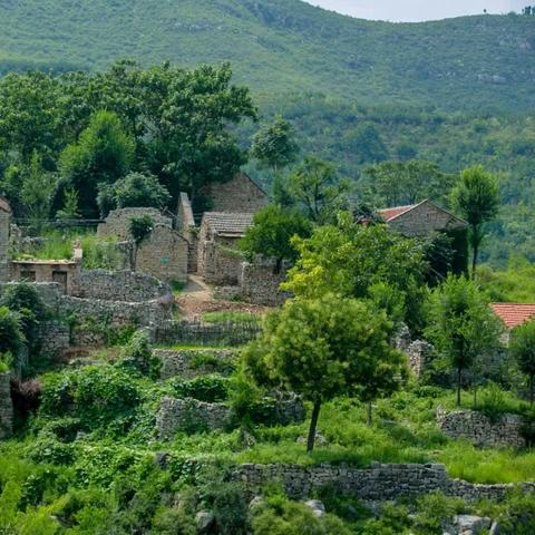 济南市哪里有羊汤