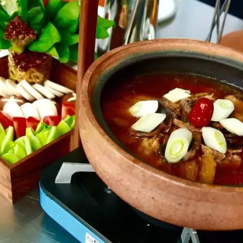 宁波市哪个地方有鸡玩