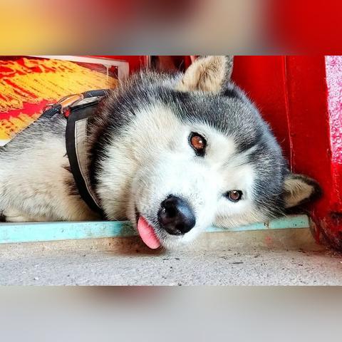 使用facebook api关联账号 相关的长尾关键词有哪些 