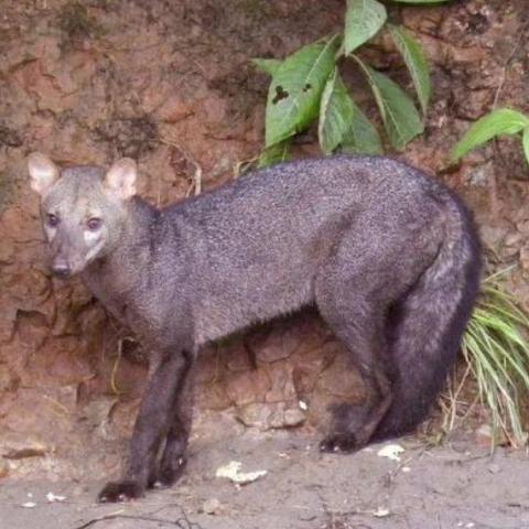 地大武汉考研群的相关长尾关键词有哪些