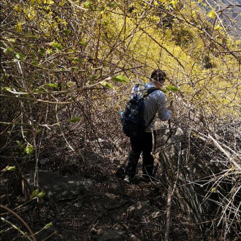 济南山职业技术学院相关长尾关键词有哪些