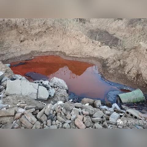 菏泽市王飞的长尾关键词有哪些