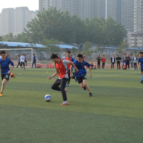 小型足球发球机价格多少