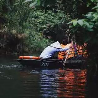 桂林市哪里有猴子看