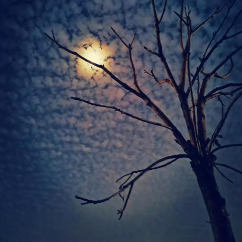 福建地震最新消息今天的相关长尾关键词有哪些