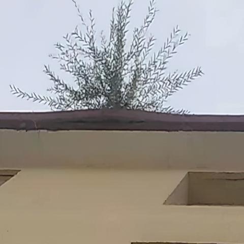 昆明市 天宇桃园的长尾关键词有什么