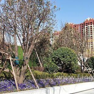 西安市航天城怎么样