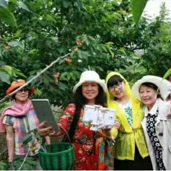 临沂市高铁能去哪里啊