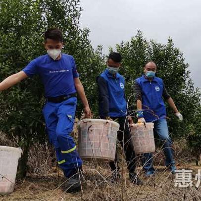 广州惠州肺炎相关长尾关键词有哪些