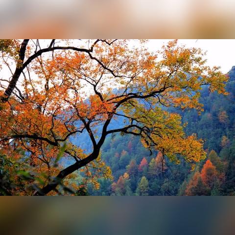 温州市半岭天气的长尾关键词有什么