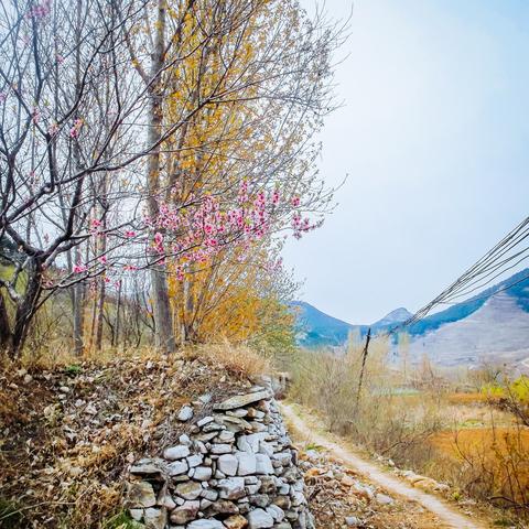 济南市的龙洞景区在哪里