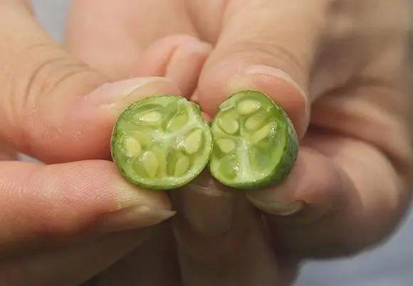 为什么黑英国美食（英国美食仅有炸鱼薯条吗）