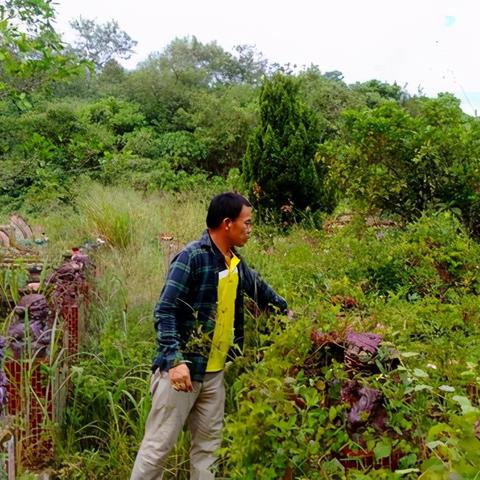 桂林市墓地有哪些名字