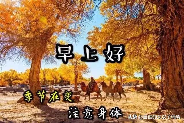 秋雨绵绵的唯美句子