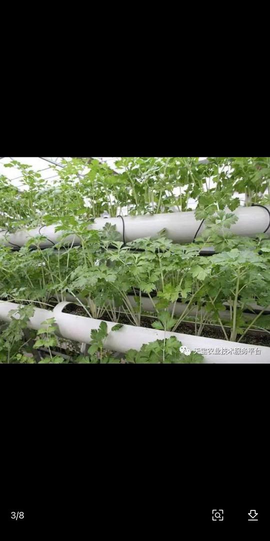 突然想学无土栽培技术搞农业创业，不知可行不？有那些要注意的