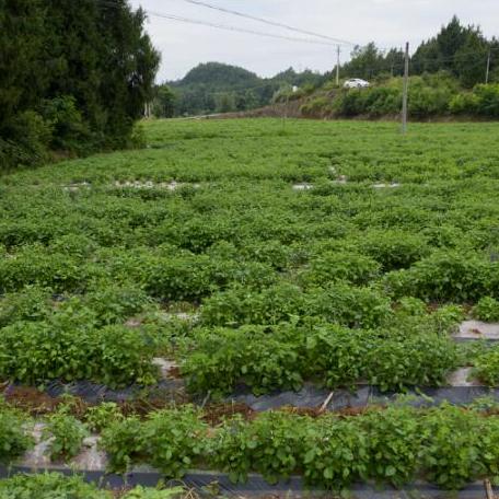 广州市省中医相关长尾关键词有哪些