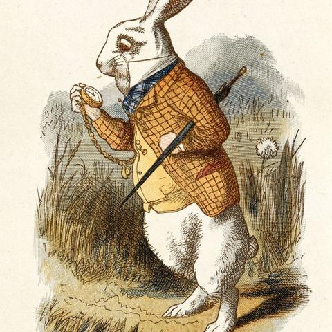 中秋兔子生肖运势如何(中秋 兔子)