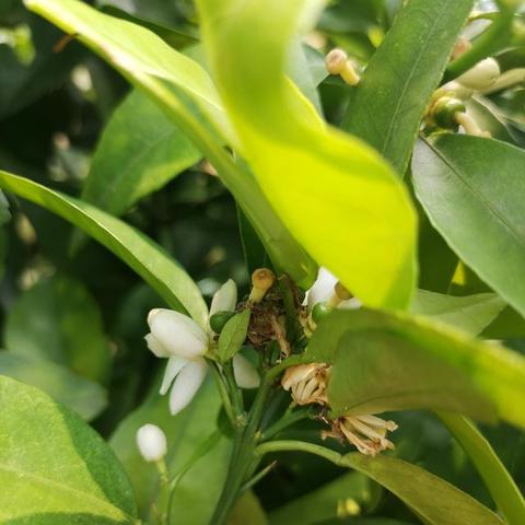 桂林几月份去最好啊？