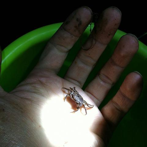 昆明市哪里办钓鱼证好