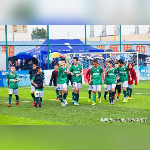 十一月十八曰生肖运势(2021年11月18号生肖运势易星网)