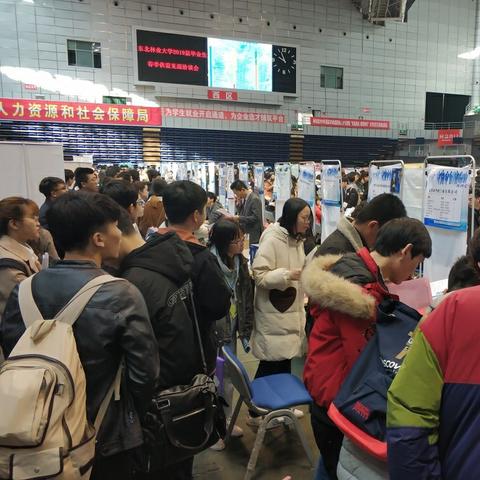 哈尔滨市会计管理局相关长尾关键词有哪些