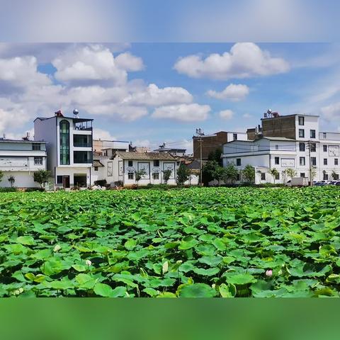 2021年安徽中考状元多少分？