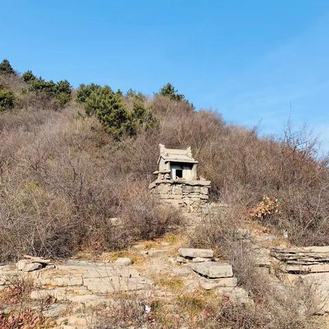 郑州附近柿子树比较多的地方？