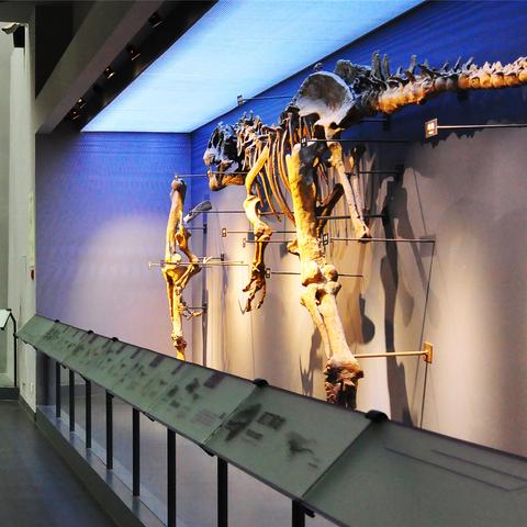 济南恐龙博物馆在什么地方？