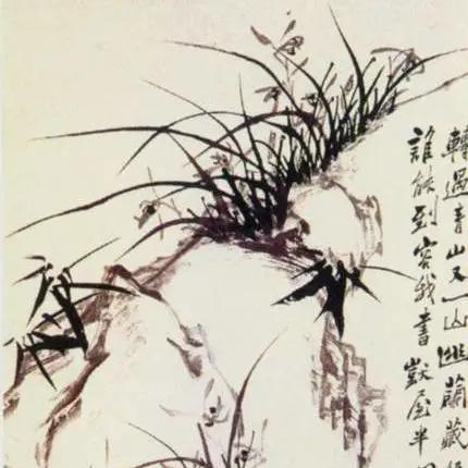 周口市板桥镇人口数量多少