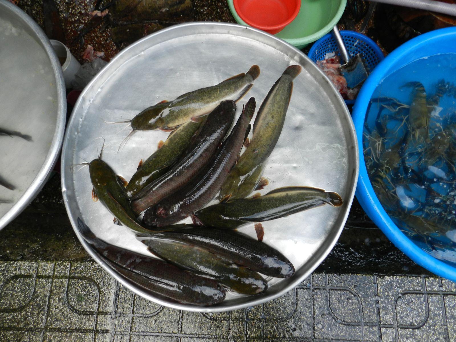 街边卖什么美食好吃（河南还有什么不起眼但好吃到爆的民间美食）