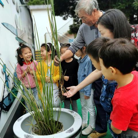 苏州市有什么特产好吃的