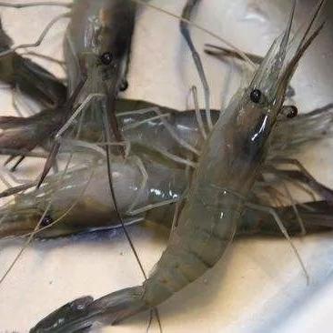 厦门市洗牙齿哪里好医院