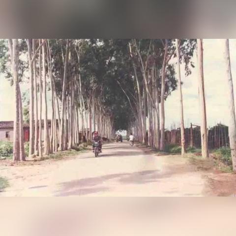 广东东莞市大朗镇正街的长尾关键词有什么