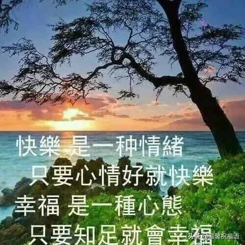 7月11日生肖狗运势怎样(2021年7月11日生肖运)