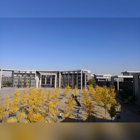 沈阳站坐车到于洪区做多少路？