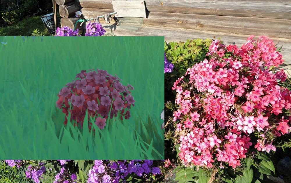 原神的望舒怎么完成(原神23级主线任务望舒怎么过)