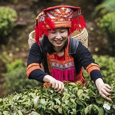 桂林市有什么饮料公司吗