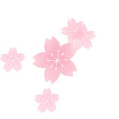 宁波市波大在什么地方