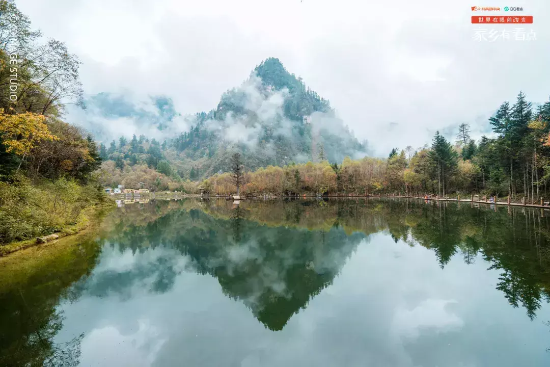 什么线下鹅 抖音什么鹅