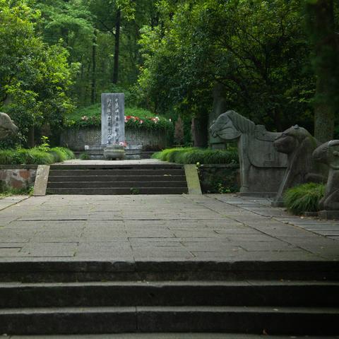 杭州市儿保挂哪个医生好