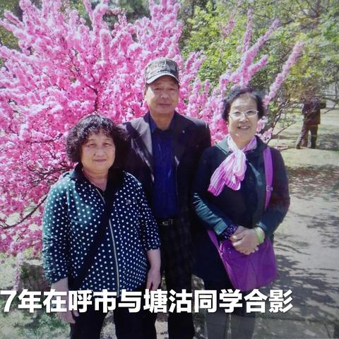 【天津塘沽三红】相关长尾关键词有哪些