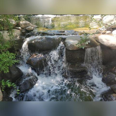 哈尔滨蓝天花苑相关长尾关键词有哪些