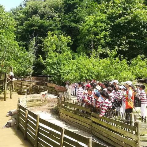 赣州市哪里卖兔子好吃又便宜