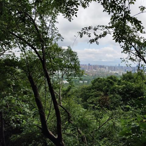 合肥市下周的天气怎么样